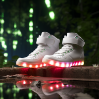 LED Light Multi Color USB Recharging Shoes